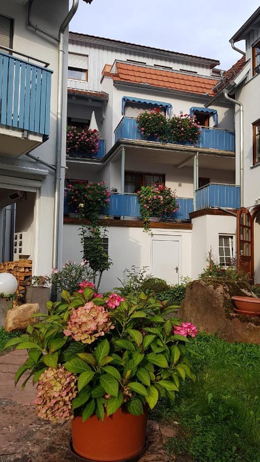 Hotel Wappenstube Erbach  Ngoại thất bức ảnh