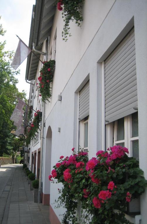 Hotel Wappenstube Erbach  Ngoại thất bức ảnh